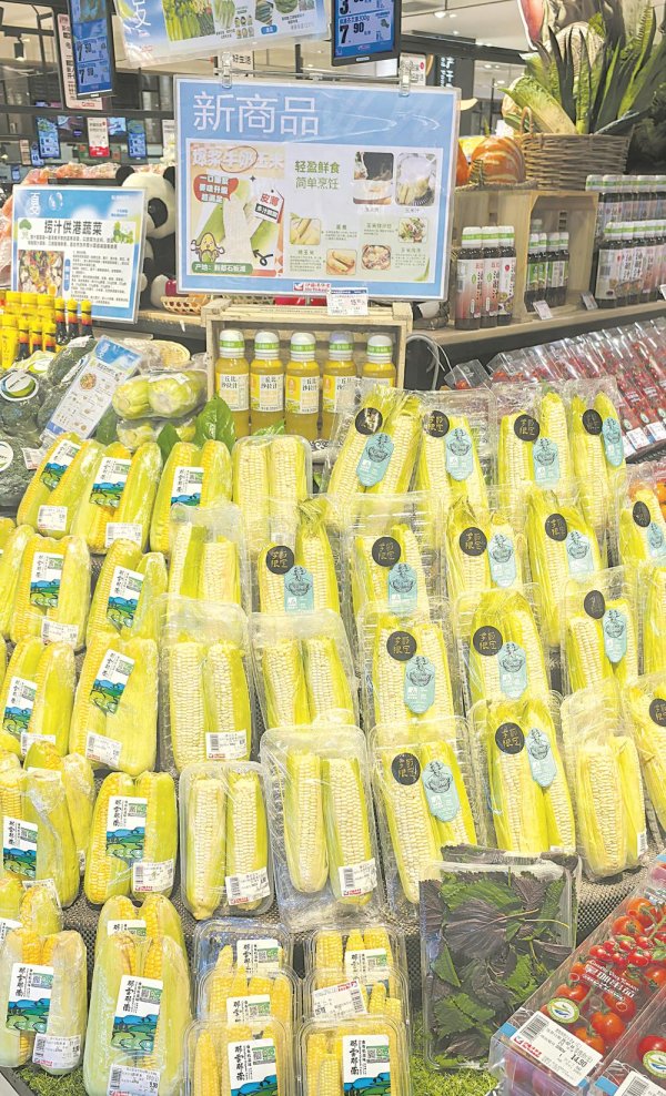 中股配资平台官网 让玉米新品种半个月摆上货架